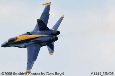 A Blue Angel at the 2008 Great Tennessee Air Show practice show at Smyrna aviation stock photo #1441