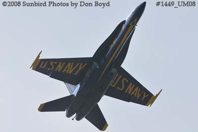 A solo Blue Angel at the 2008 Great Tennessee Air Show practice show at Smyrna aviation stock photo #1449
