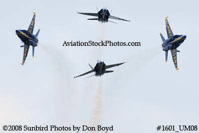 The Blue Angels at the 2008 Great Tennessee Air Show practice show at Smyrna aviation stock photo #1601