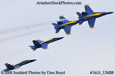 The Blue Angels at the 2008 Great Tennessee Air Show practice show at Smyrna aviation stock photo #1615