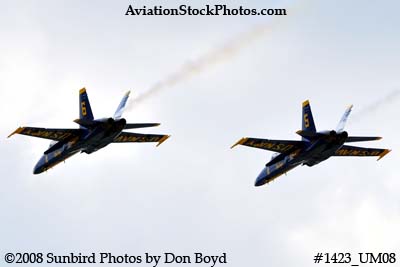 The Blue Angels #5 and #6 at the 2008 Great Tennessee Air Show practice show at Smyrna aviation stock photo #1423