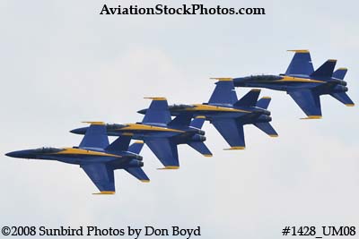 The Blue Angels at the 2008 Great Tennessee Air Show practice show at Smyrna aviation stock photo #1428