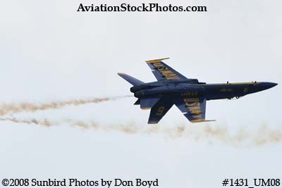 The Blue Angels at the 2008 Great Tennessee Air Show practice show at Smyrna aviation stock photo #1431