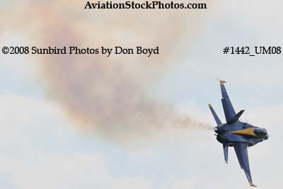 A solo Blue Angel at the 2008 Great Tennessee Air Show practice show at Smyrna aviation stock photo #1442