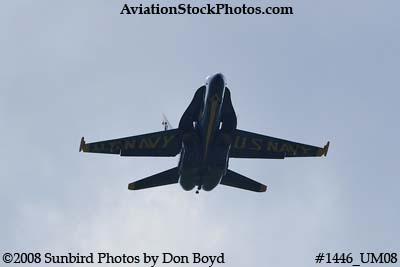 The Blue Angels at the 2008 Great Tennessee Air Show practice show at Smyrna aviation stock photo #1446