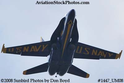A solo Blue Angel at the 2008 Great Tennessee Air Show practice show at Smyrna aviation stock photo #1447