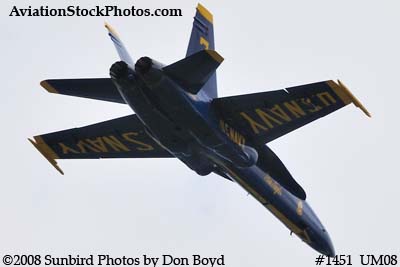 A solo Blue Angel at the 2008 Great Tennessee Air Show practice show at Smyrna aviation stock photo #1451