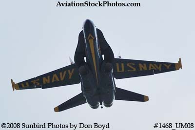 A solo Blue Angel at the 2008 Great Tennessee Air Show practice show at Smyrna aviation stock photo #1468