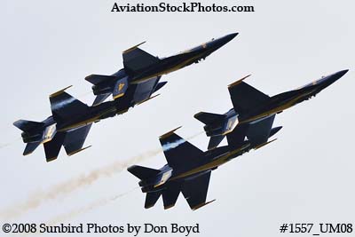 The Blue Angels at the 2008 Great Tennessee Air Show practice show at Smyrna aviation stock photo #1557
