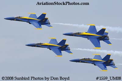 The Blue Angels at the 2008 Great Tennessee Air Show practice show at Smyrna aviation stock photo #1559