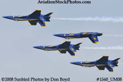 The Blue Angels at the 2008 Great Tennessee Air Show practice show at Smyrna aviation stock photo #1560