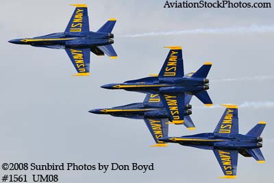 The Blue Angels at the 2008 Great Tennessee Air Show practice show at Smyrna aviation stock photo #1561