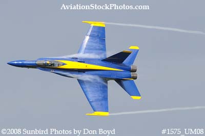A Blue Angels solo at the 2008 Great Tennessee Air Show practice show at Smyrna aviation stock photo #1575