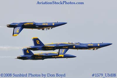 The Blue Angels at the 2008 Great Tennessee Air Show practice show at Smyrna aviation stock photo #1579