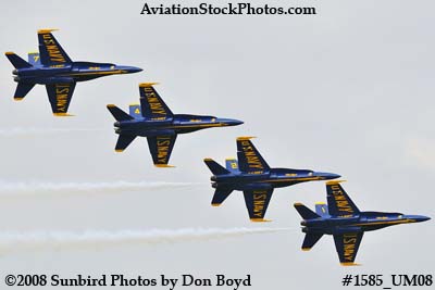 The Blue Angels at the 2008 Great Tennessee Air Show practice show at Smyrna aviation stock photo #1585