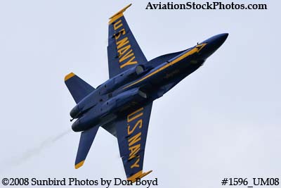A Blue Angels solo at the 2008 Great Tennessee Air Show practice show at Smyrna aviation stock photo #1596