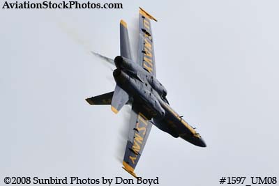 The Blue Angels at the 2008 Great Tennessee Air Show practice show at Smyrna aviation stock photo #1597