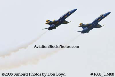 The two Blue Angels solo pilots at the 2008 Great Tennessee Air Show practice show at Smyrna aviation stock photo #1608