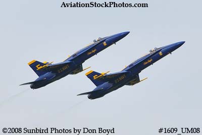 The Blue Angels #5 and #6 at the 2008 Great Tennessee Air Show practice show at Smyrna aviation stock photo #1609