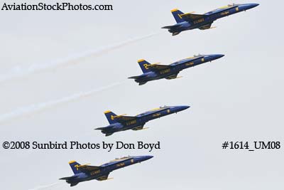 The Blue Angels at the 2008 Great Tennessee Air Show practice show at Smyrna aviation stock photo #1614