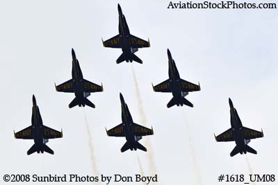 The Blue Angels at the 2008 Great Tennessee Air Show practice show at Smyrna aviation stock photo #1618