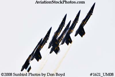 The Blue Angels at the 2008 Great Tennessee Air Show practice show at Smyrna aviation stock photo #1621