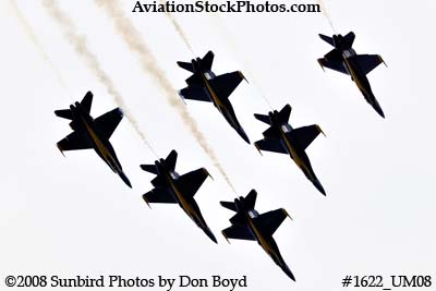 The Blue Angels at the 2008 Great Tennessee Air Show practice show at Smyrna aviation stock photo #1622