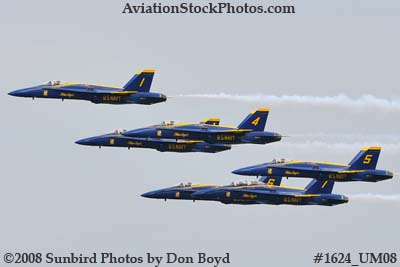 The Blue Angels at the 2008 Great Tennessee Air Show practice show at Smyrna aviation stock photo #1624