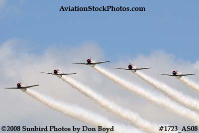 The GEICO Skytypers at the Great Tennessee Air Show at Smyrna aviation stock photo #1723