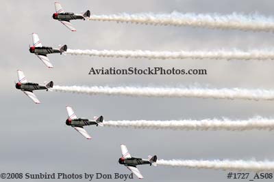 The GEICO Skytypers at the Great Tennessee Air Show at Smyrna aviation stock photo #1727