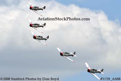 The GEICO Skytypers at the Great Tennessee Air Show at Smyrna aviation stock photo #1729