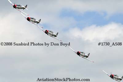 o2/20/35420/1/96472138.bxLOD2ek.1730_AS08_Skytypers_400.jpg