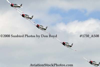 The GEICO Skytypers at the Great Tennessee Air Show at Smyrna aviation stock photo #1730