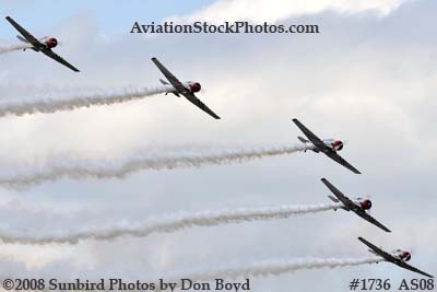 GEICO Skytypers at the Great Tennessee Air Show at Smyrna aviation stock photo #1736