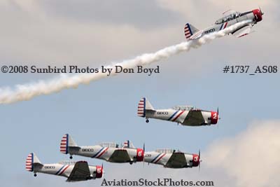 GEICO Skytypers at the Great Tennessee Air Show at Smyrna aviation stock photo #1737