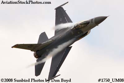 USAF F-16 East Coast Demo at the Great Tennessee Air Show at Smyrna aviation stock photo #1750