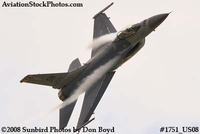 USAF F-16 East Coast Demo at the Great Tennessee Air Show at Smyrna aviation stock photo #1751