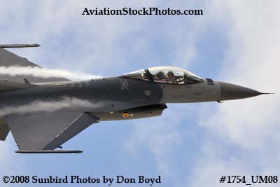 USAF F-16 East Coast Demo at the Great Tennessee Air Show at Smyrna aviation stock photo #1754