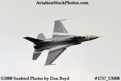 USAF F-16 East Coast Demo at the Great Tennessee Air Show at Smyrna aviation stock photo #1757