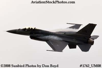 USAF F-16 East Coast Demo at the Great Tennessee Air Show at Smyrna aviation stock photo #1762
