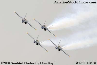 The Blue Angels at the 2008 Great Tennessee Air Show at Smyrna aviation stock photo #1781