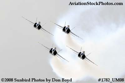 The Blue Angels at the 2008 Great Tennessee Air Show at Smyrna aviation stock photo #1782