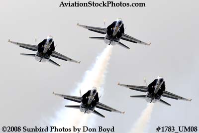 The Blue Angels at the 2008 Great Tennessee Air Show at Smyrna aviation stock photo #1783