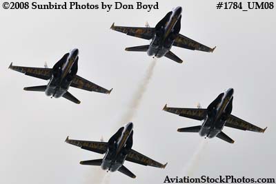 The Blue Angels at the 2008 Great Tennessee Air Show at Smyrna aviation stock photo #1784