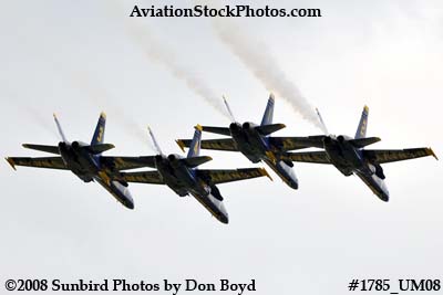 The Blue Angels at the 2008 Great Tennessee Air Show at Smyrna aviation stock photo #1785