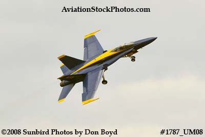 One of the Blue Angels at the 2008 Great Tennessee Air Show at Smyrna aviation stock photo #1787