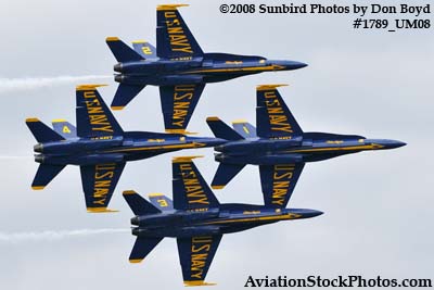The Blue Angels at the 2008 Great Tennessee Air Show at Smyrna aviation stock photo #1789