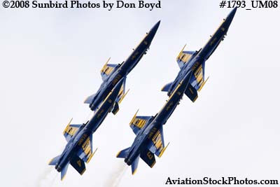 The Blue Angels at the 2008 Great Tennessee Air Show at Smyrna aviation stock photo #1793