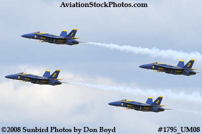 The Blue Angels at the 2008 Great Tennessee Air Show at Smyrna aviation stock photo #1795