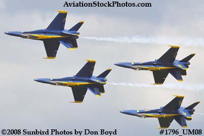 The Blue Angels at the 2008 Great Tennessee Air Show at Smyrna aviation stock photo #1796
